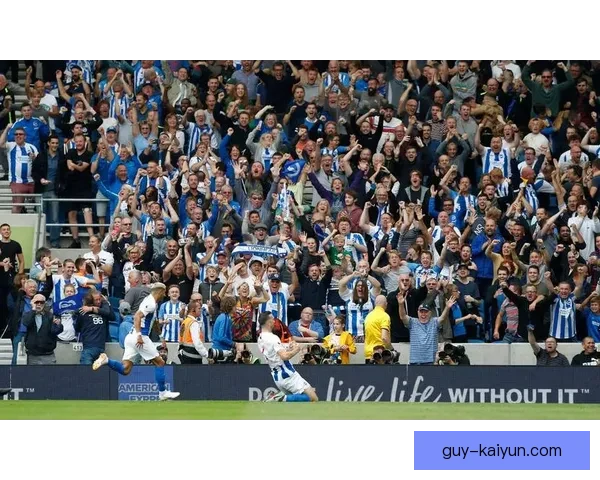 布莱顿新球场启用，球队迎来全新未来与无限可能