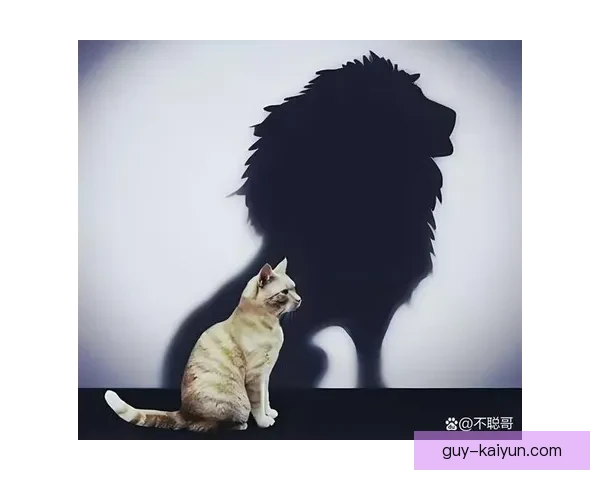 Vini 近期面对媒体压力表现稳健，展现出强大心理素质