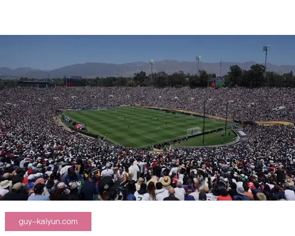 奥地利球迷热情持续高涨，球队备受瞩目引发关注